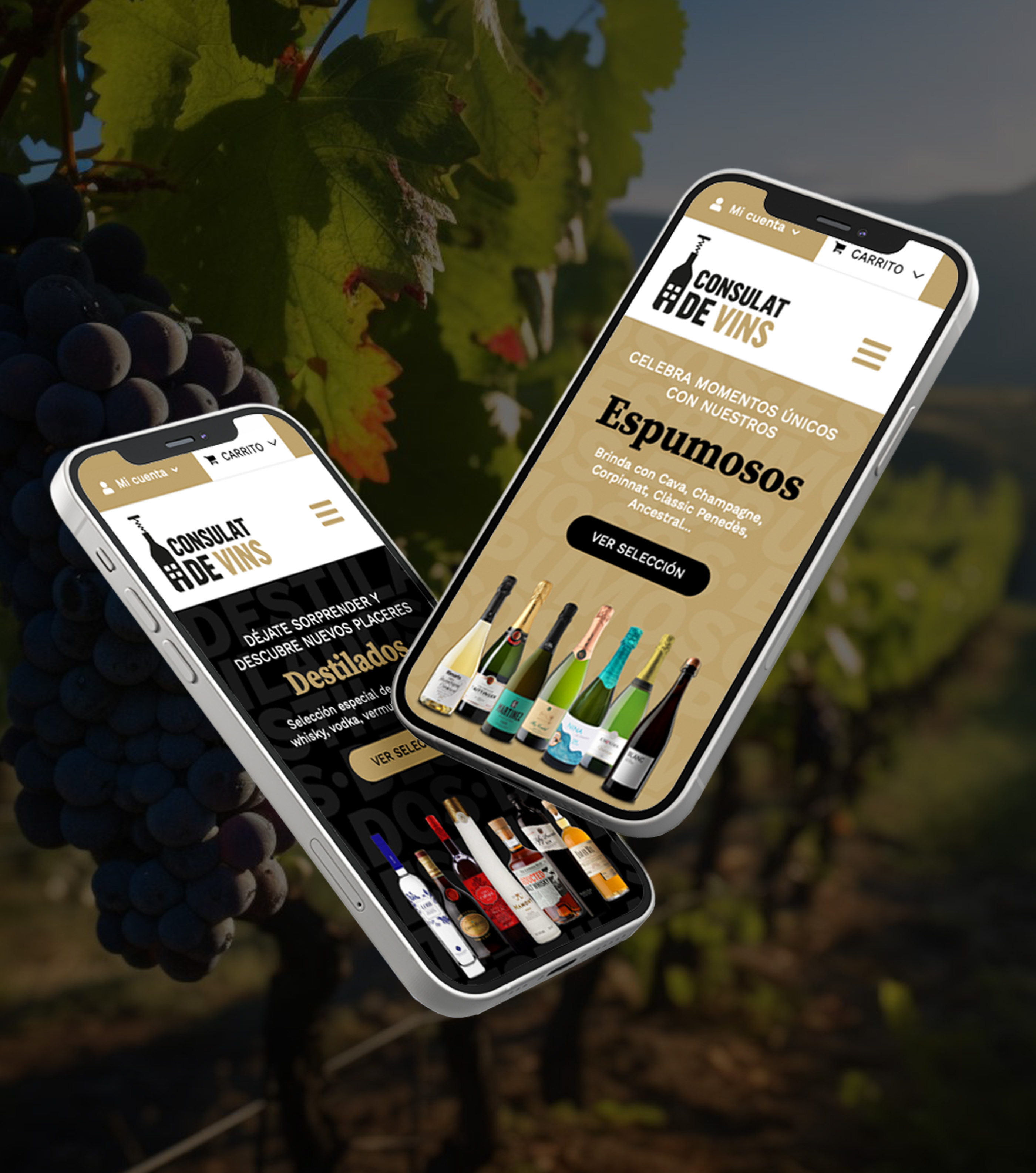 Consulat de Vins